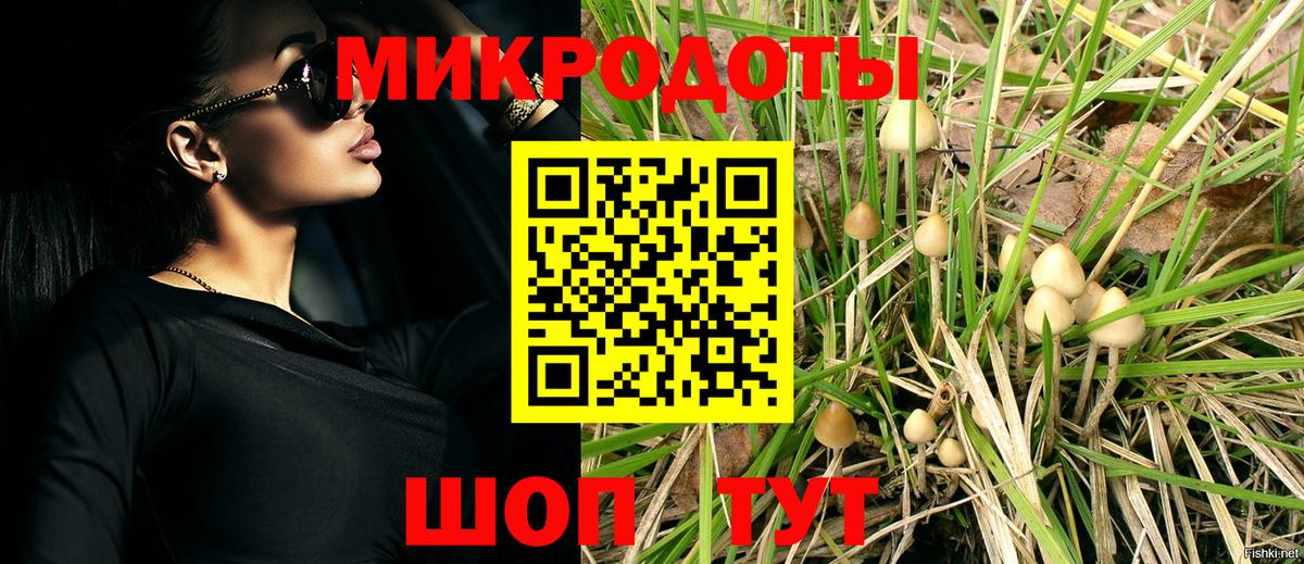 Галлюциногенные грибы Psilocybe Балашиха